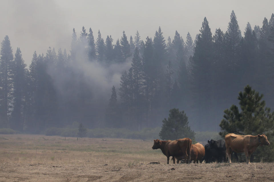 Wildfires threaten Yosemite