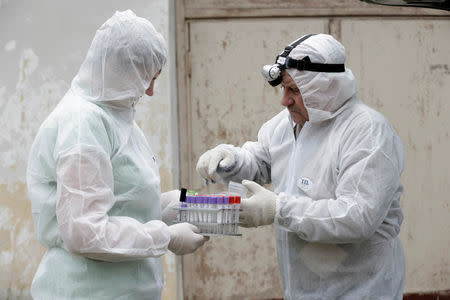 Inspectors Vija Ritina (L) and Igors Jermakovs prepare to process a check on a farm in the Rezekne region, after Latvia declared a state of emergency in the eastern part of the country, to fight an outbreak of African swine fever in some wild boars and domestic pigs, in Latvia July 4, 2014. REUTERS/Ints Kalnins/File Photo