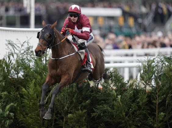 Tiger Roll won a year ago (Getty Images)