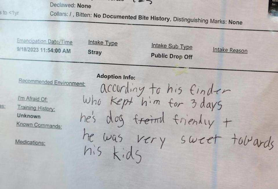 Details are hand written on the info sheet of a dog available for adoption at Fort Worth North Animal Care and Adoption Campus on Wednesday, October 25, 2023, in Fort Worth.