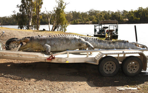 An investigation has been launched to find the person who killed the 'iconic' crocodile - Credit: EPA/ Queensland Police Service