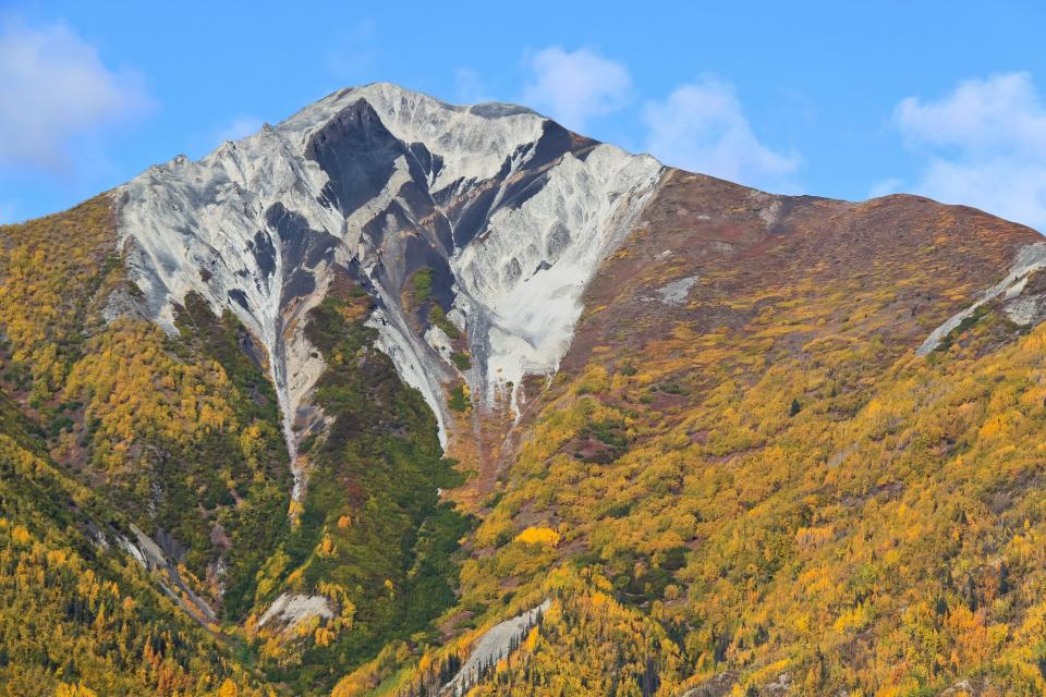 Fall foliage enrobes a Wrangell mountain near McCarthy, Alaska.