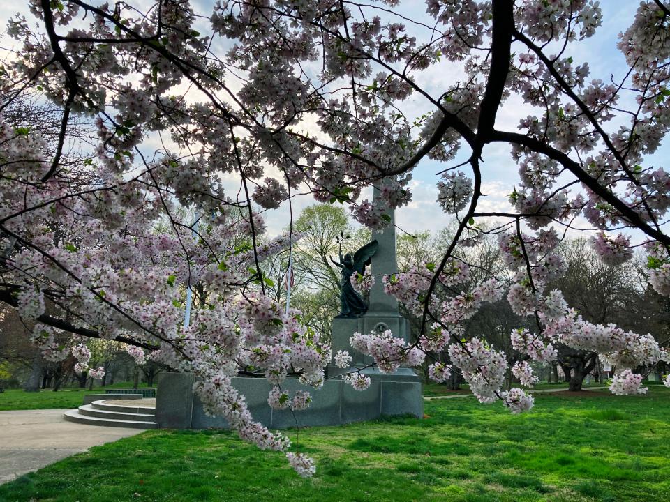 Cherry trees serve as a backdrop for the Soldiers and Sailors Memorial in Brandywine Park, Wednesday, April 5, 2023