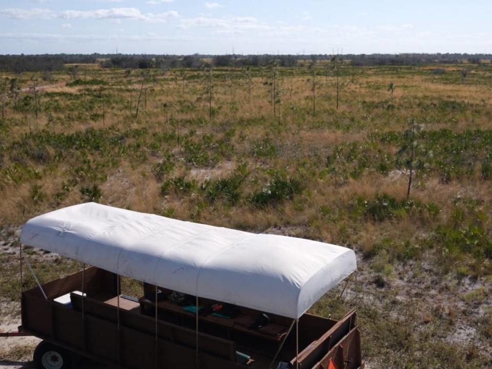 Wagon tours sponsored by the Manatee Fish & Game Association offer a glimpse of rare Florida habitat and wildlife at Duette Preserve in East Manatee County. 