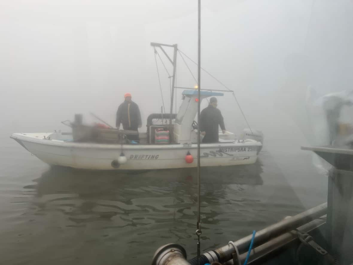 A fishing boat is shrouded in fog on la Sacca di Goro, situated on the northeastern coast of Italy, where the Po River drains into the Adriatic Sea. The lagoon is a place where local people have managed to strike a delicate balance between making a living and respecting nature through shellfish harvesting. (Megan Williams/CBC - image credit)