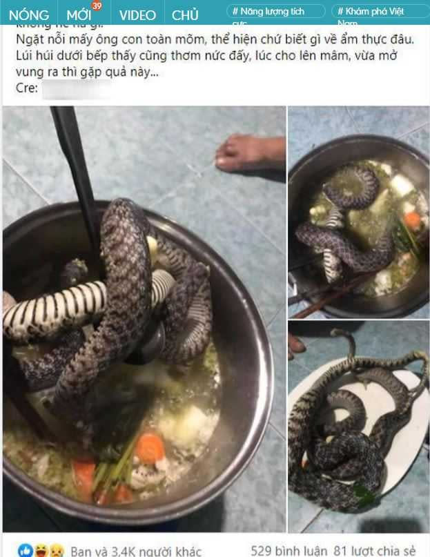 越南學生和室友將跑進寢室的蛇丟進鍋中烹煮，成品嚇壞網友。（圖／翻攝自Baomoi）