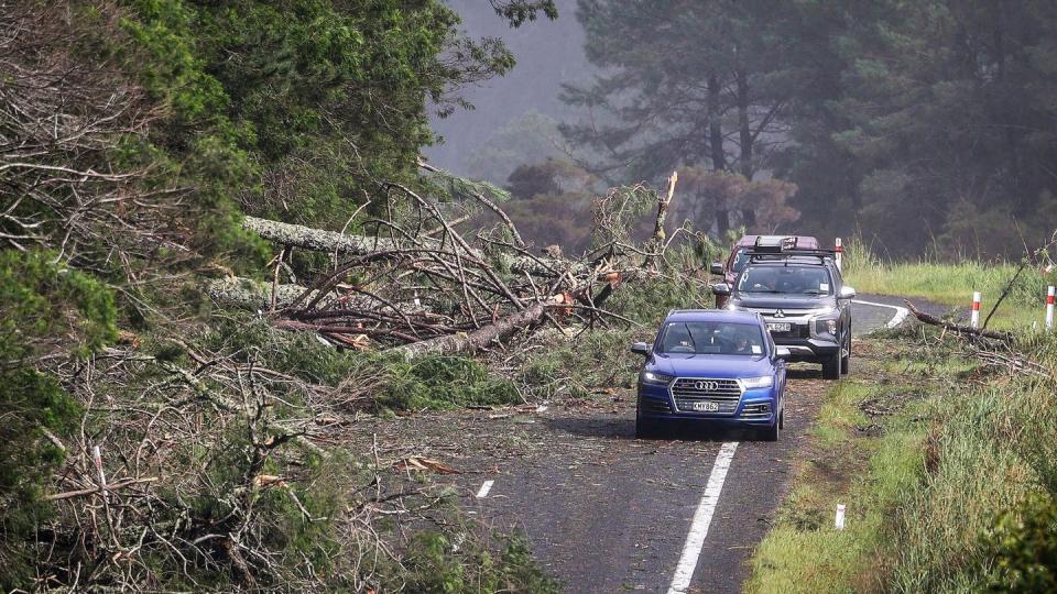 Aufnahmen zeigen die Verwüstung auf der Nordinsel, die der Sturm bereits angerichtet hat. (Bild: dpa)