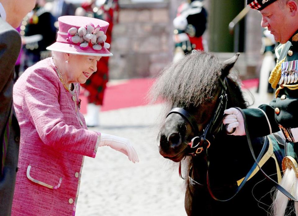 Queen Elizabeth and Cruachan IV