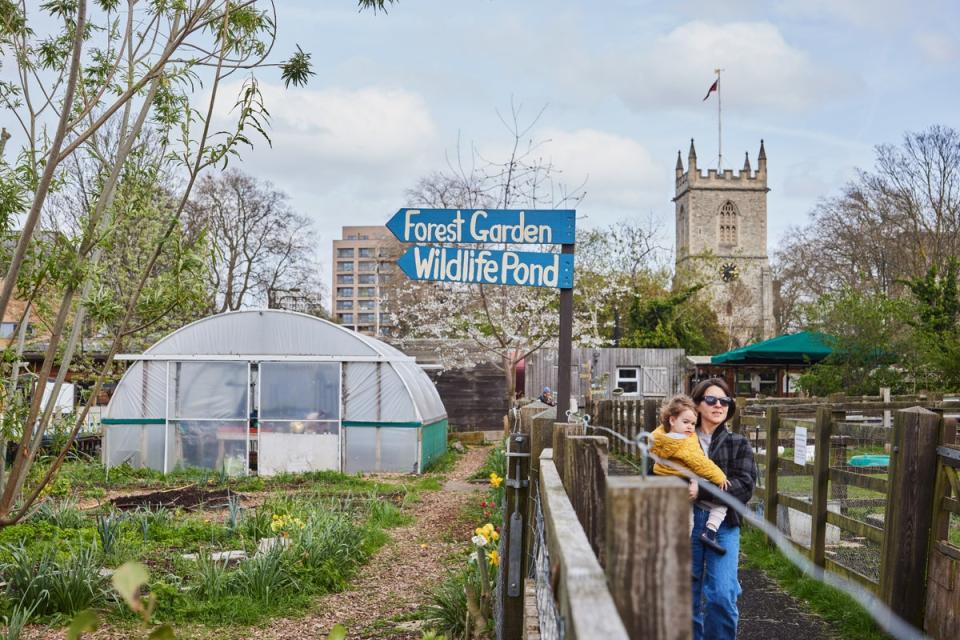 Stepney has its own city farm (Juliet Murphy)