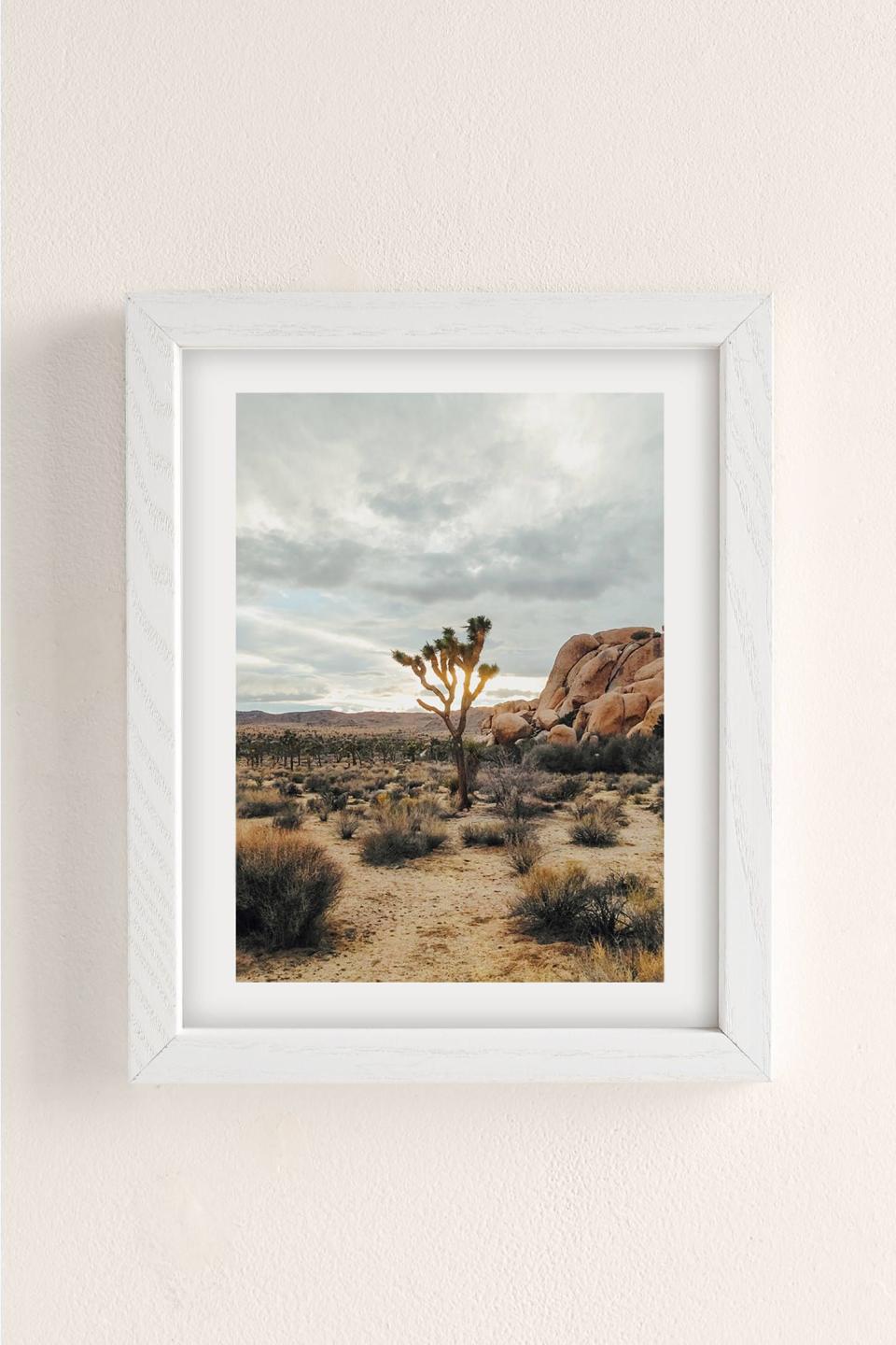 Joshua Tree Art Print