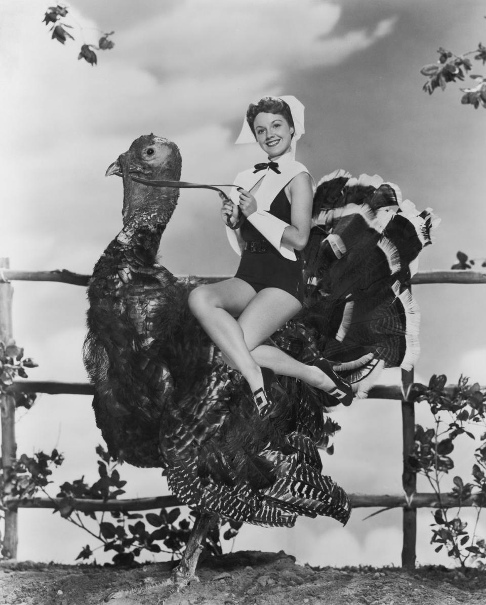 starlet rides giant turkey