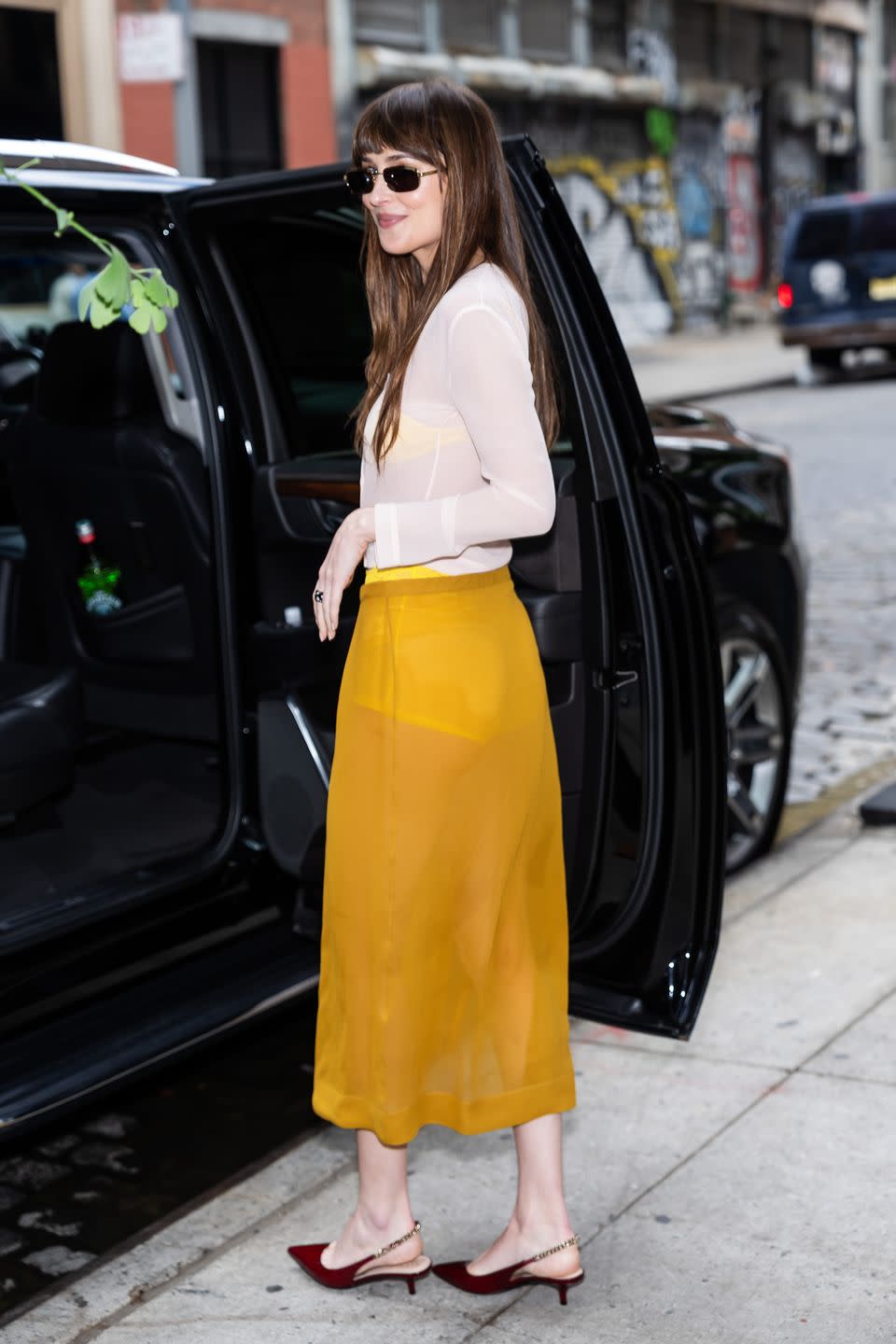 dakota johnson see through skirt