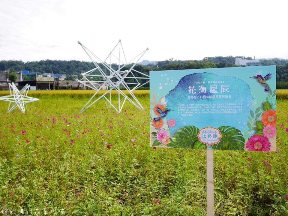 【2016桃園花彩節大溪場】百頃花田繽紛綻放！2016/11/12~2016/11/20