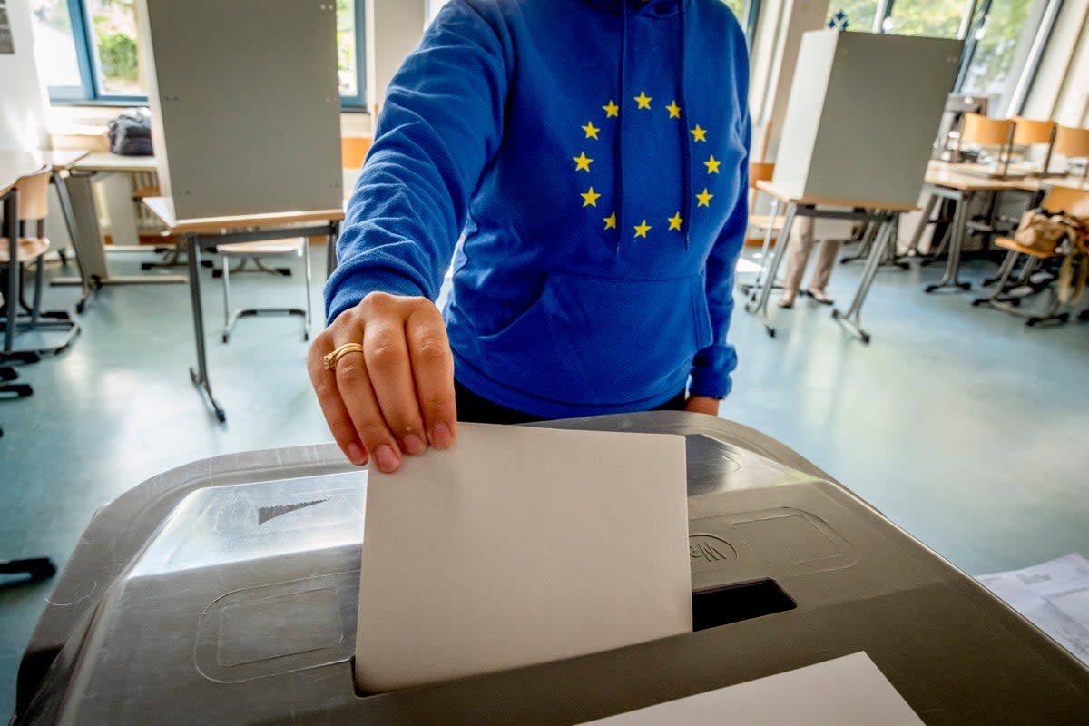 The European parliamentary elections finished over the weekend  (AP)