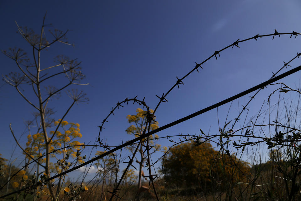 Wild flowers are seen through barbed-wires inside the U.N controlled buffer zone that divide the Greek, south, and the Turkish, north, Cypriot areas since the 1974 Turkish invasion, Cyprus, on Friday, March 26, 2021. Cyprus' endangered Mouflon sheep is one of many rare plant and animal species that have flourished a inside U.N. buffer zone that cuts across the ethnically cleaved Mediterranean island nation. Devoid of humans since a 1974 war that spawned the country’s division, this no-man's land has become an unofficial wildlife reserve. (AP Photo/Petros Karadjias)