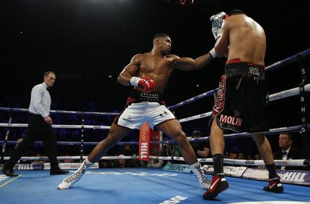 Boxing Britain - Anthony Joshua v Eric Molina IBF World Heavyweight Title - Manchester Arena - 10/12/16 Anthony Joshua in action against Eric Molina Action Images via Reuters / Andrew Couldridge Livepic