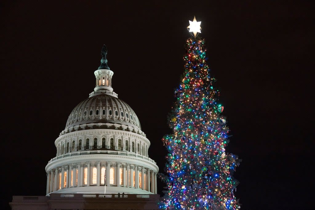 Capitol Christmas Tree 2021 (Copyright 2021 The Associated Press. All rights reserved.)