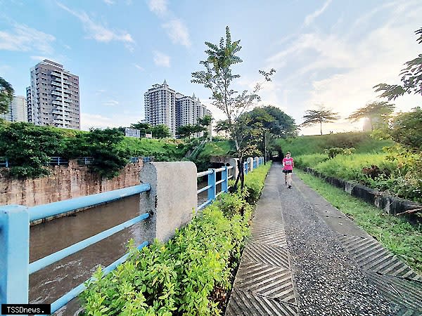 公司田溪景觀廊道種植四季開花灌木及喬木，將溪畔沿岸步道營造為生態、視覺、嗅覺及四季景觀變化的廊道空間。（圖：新北市景觀處提供）