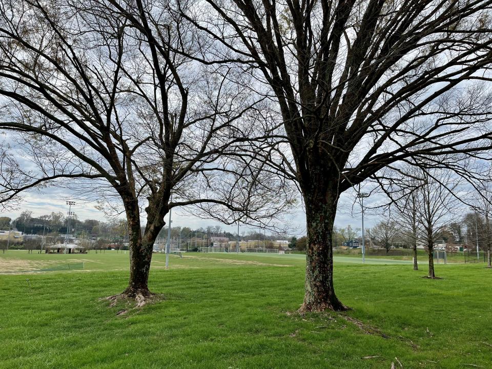 The general area where the Pond Gap baseball field was is shown on March 23, 2023. The land is now part of the UT RecSports Complex.