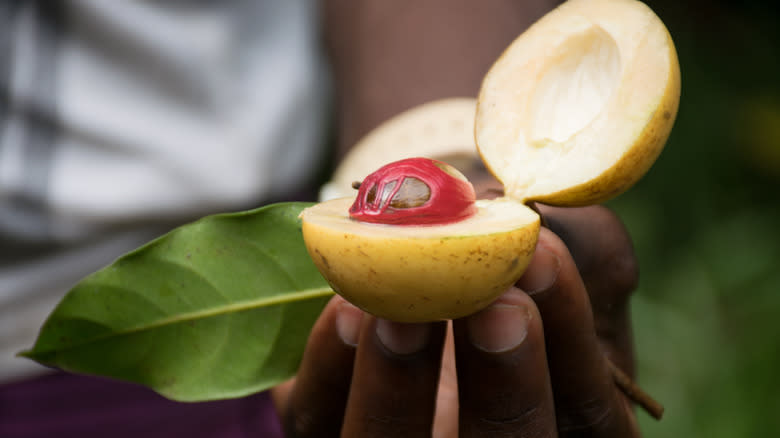 Mace with nutmeg seed 