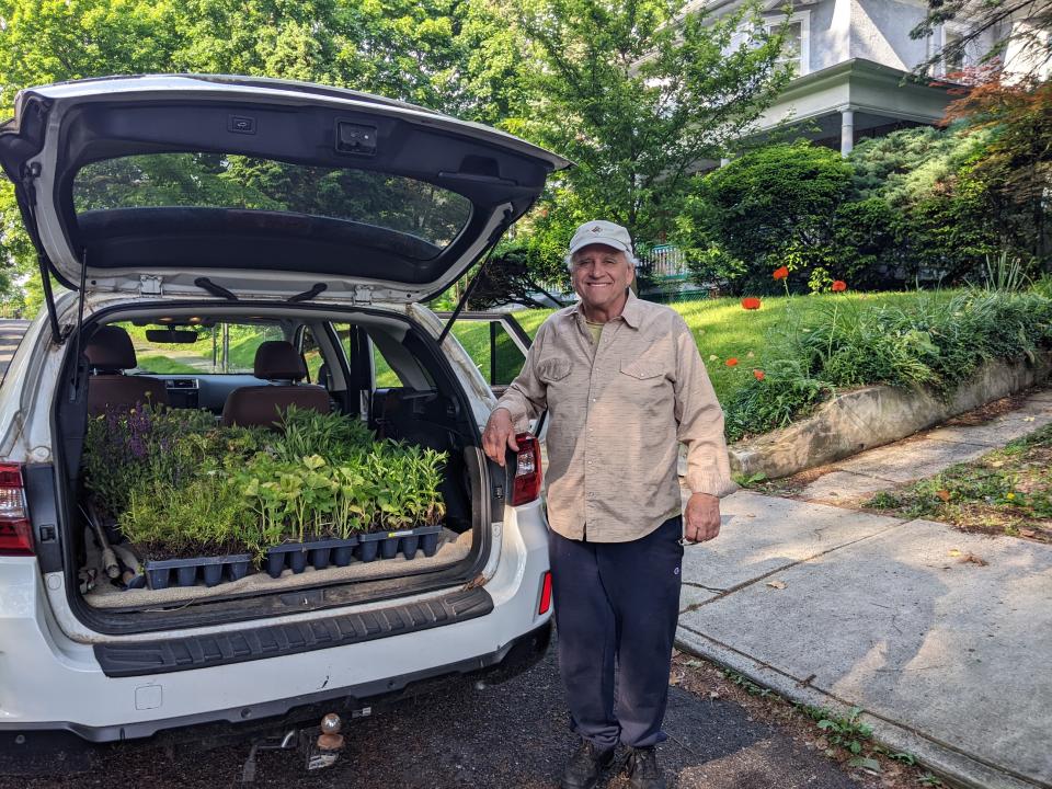 Plants donated by American Meadows to the Pennsylvania Horticultural Society.