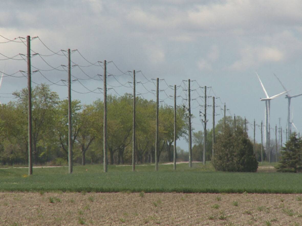 A new pilot project will look at the feasibility of using windfarms to power southwestern Ontario's growing greenhouse industry directly. (Chris Ensing/CBC - image credit)