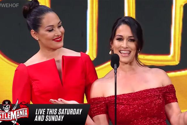 Photos from Nikki & Brie Bella's WWE Hall of Fame Photo Diary