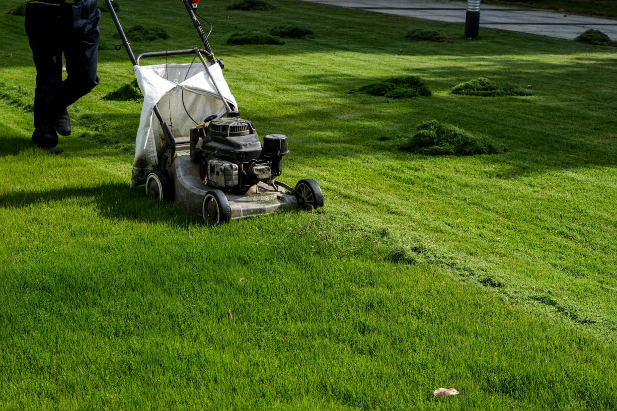 man pushing lawn mower on green grass with cut and uncut grass