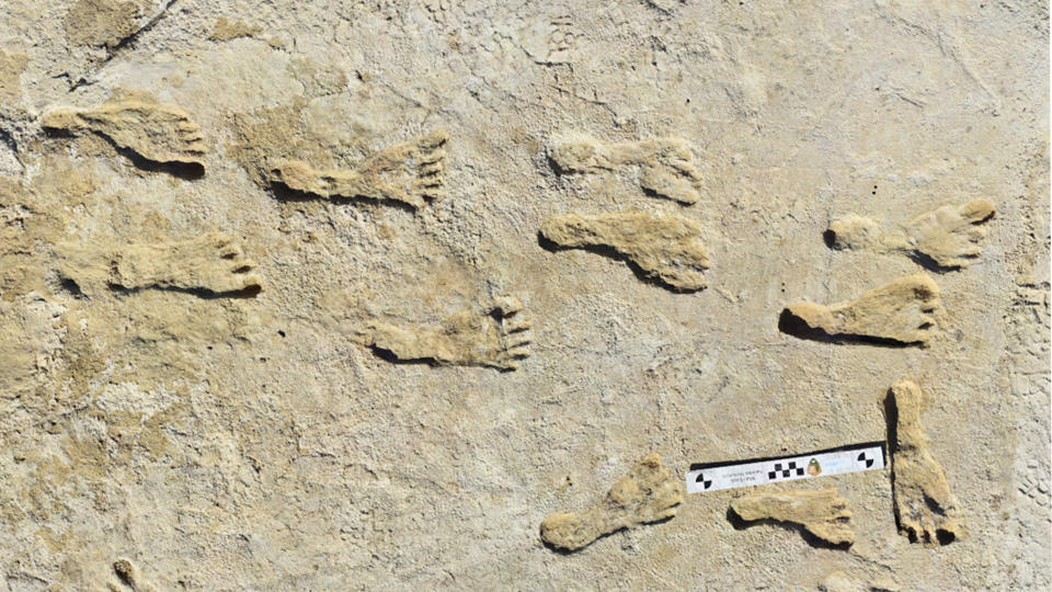 Human footprints fossilized in beige sand.