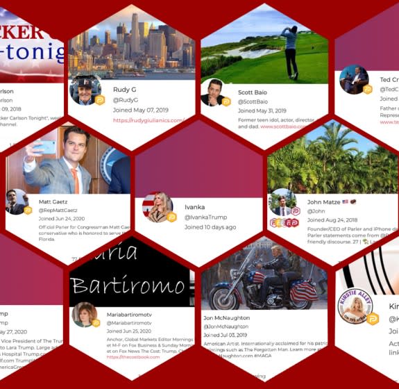 A photo collage in a honeycomb pattern shows profiles of users on the social media platform Parler