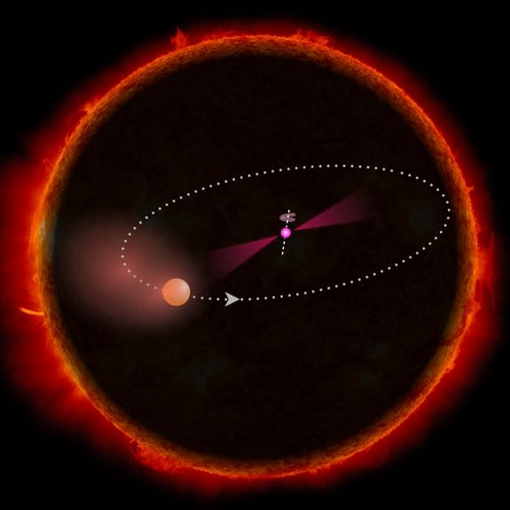 The unusual PSR J1311-3430 pulsar system (magenta) is so compact that it would fit completely inside our sun. This schematic representation shows the sun, the companion's orbit, and the companion at its maximum possible size true to scale; the