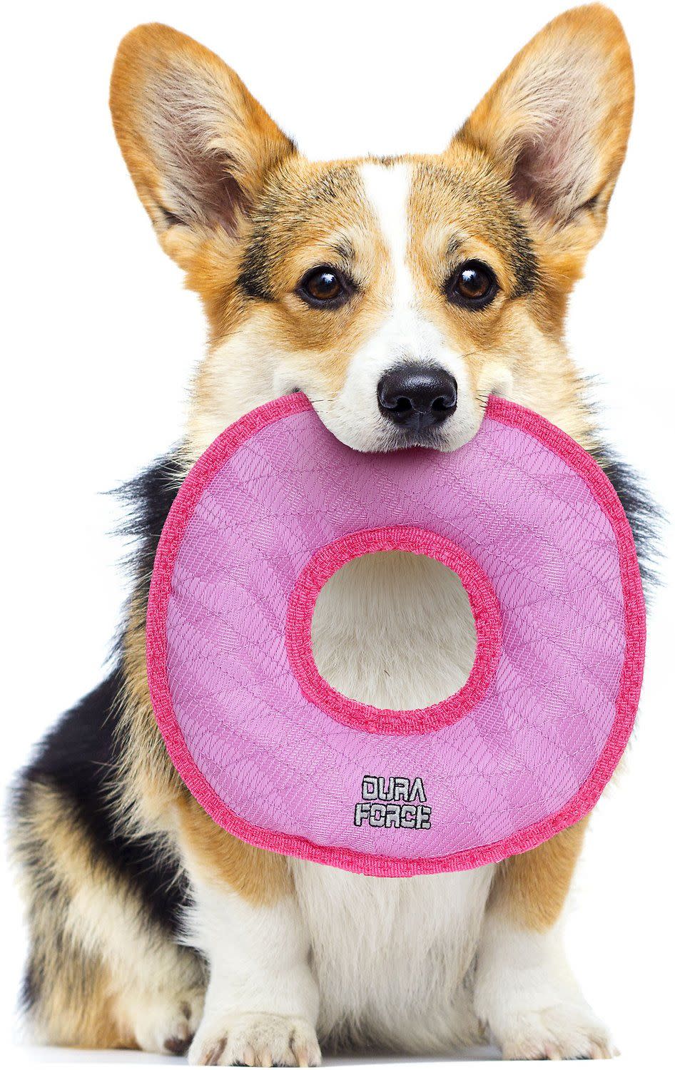 DuraForce Ring Squeaky Dog Toy, Pink, Medium