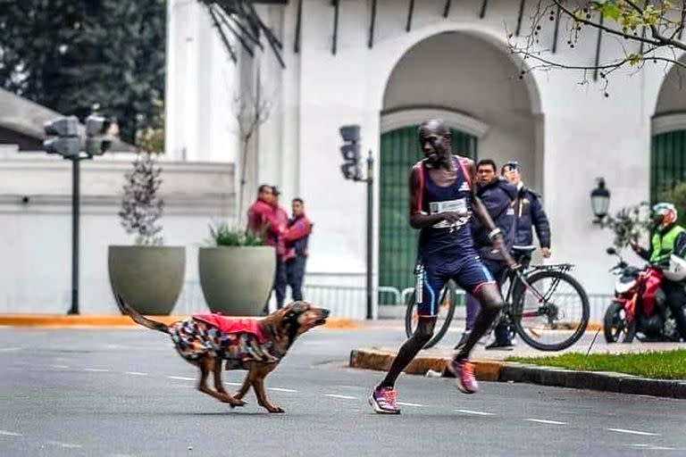 Robert Kimutai Ngeno finalizó tercero en la Maratón de Buenos Aires y acusa el ataque de un perro sobre el final de la carrera como la principal razón