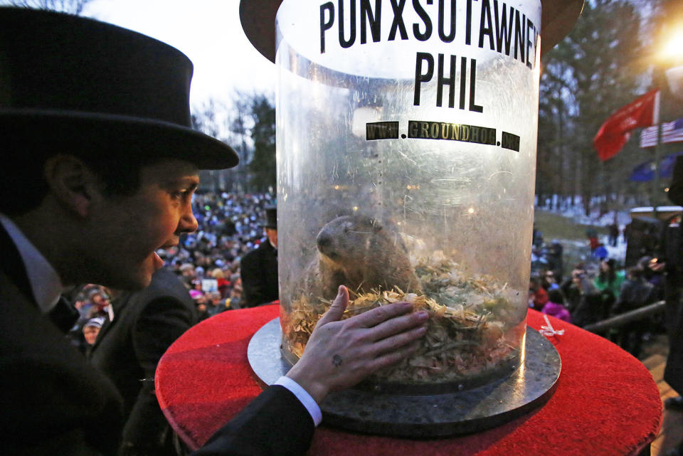 Phil sees his shadow on Groundhog Day