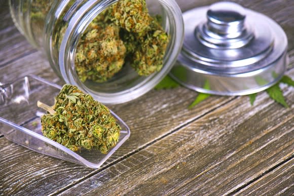 A tipped over jar filled with trimmed cannabis on a counter, lying next to a scoop with a cannabis bud inside.