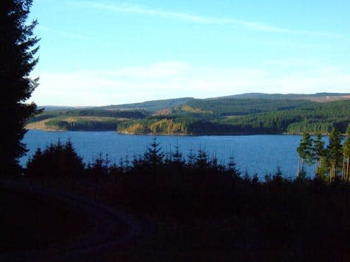 <span class="caption">England's largest woodland - Kielder Forest.</span> <span class="attribution"><a class="link " href="https://commons.wikimedia.org/w/index.php?curid=29406904" rel="nofollow noopener" target="_blank" data-ylk="slk:Wikimedia Commons/By The Boy that time forgot;elm:context_link;itc:0;sec:content-canvas">Wikimedia Commons/By The Boy that time forgot </a>, <a class="link " href="http://creativecommons.org/licenses/by-sa/4.0/" rel="nofollow noopener" target="_blank" data-ylk="slk:CC BY-SA;elm:context_link;itc:0;sec:content-canvas">CC BY-SA</a></span>