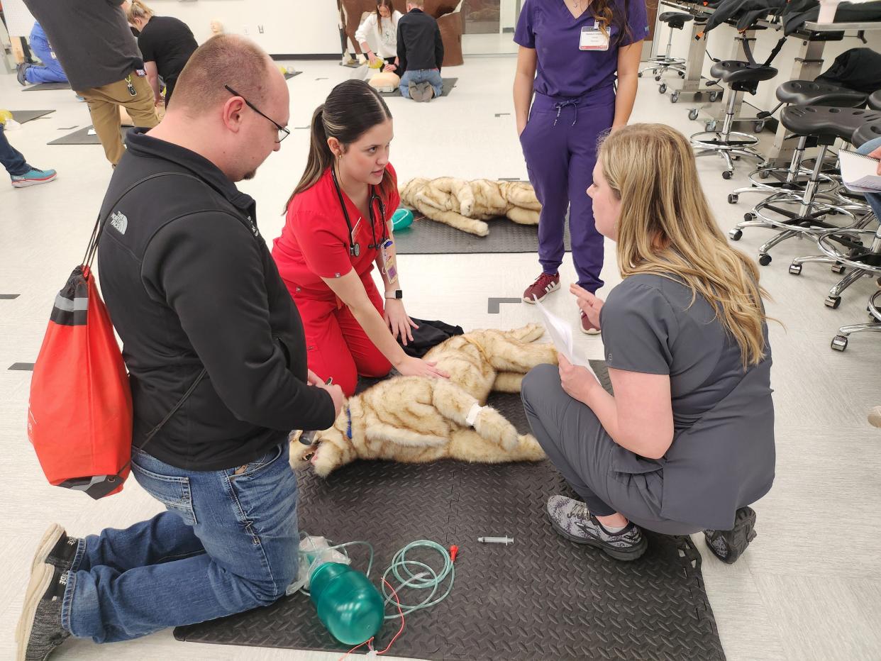 Students from the Texas Tech University Health Sciences Center schools of medicine, nursing, veterinary and more participate in Disaster Day simulations Thursday including a triage station, basic life-saving and bleed control, team lift skills, an AMBUS (ambulance bus) station and an animal rescue station.