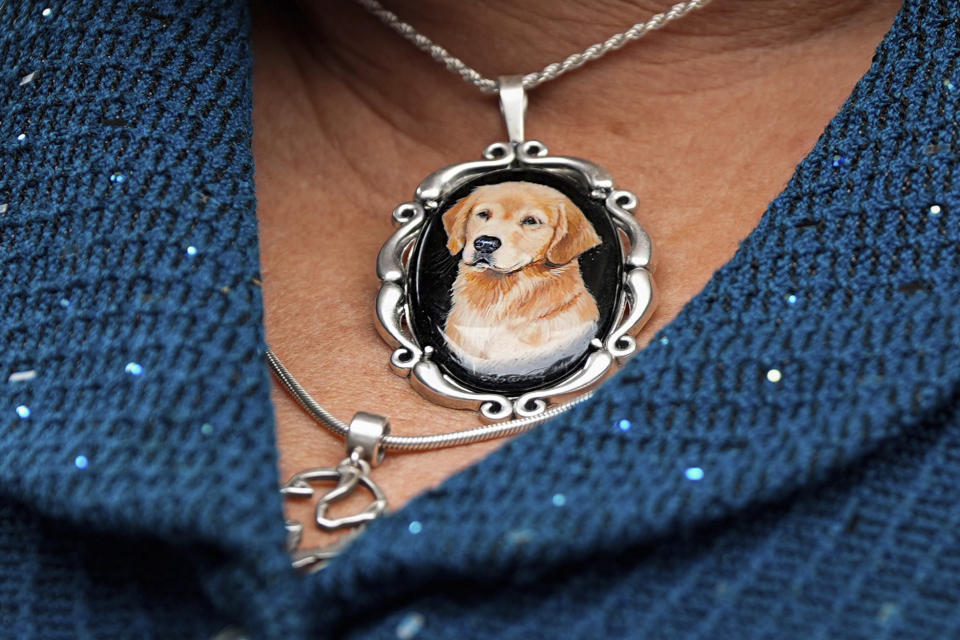 A golden retriever handler wears a pendant during breed group judging at the 148th Westminster Kennel Club Dog show, Tuesday, May 14, 2024, at the USTA Billie Jean King National Tennis Center in New York. (AP Photo/Julia Nikhinson)