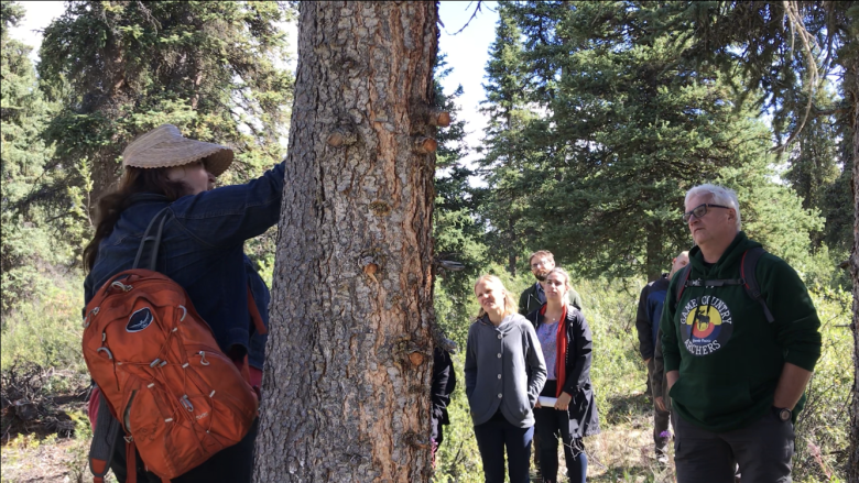 Yukon teachers meet Indigenous elders at healing camp