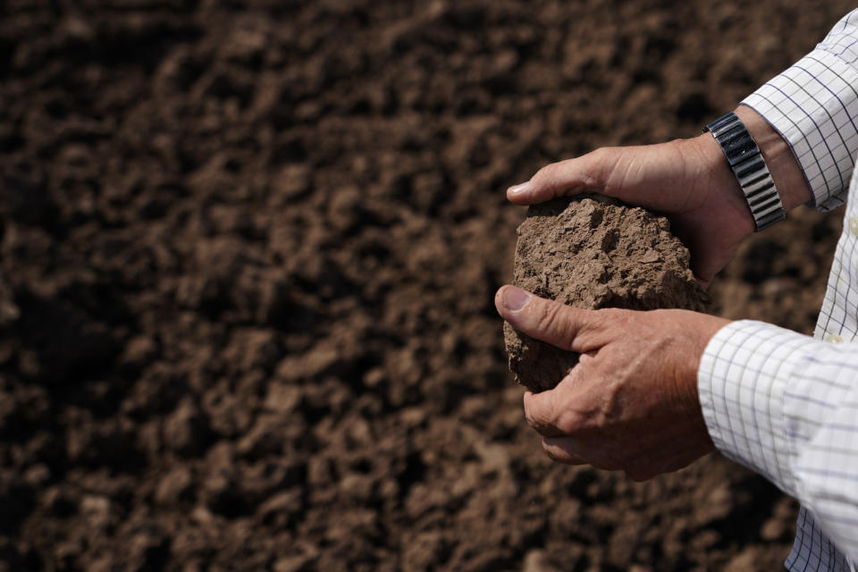 Farmer Larry Cox looks at soil on a field at his farm Monday, Aug. 15, 2022, near Brawley, Calif. The Cox family has been farming in California's Imperial Valley for generations. (AP Photo/Gregory Bull)