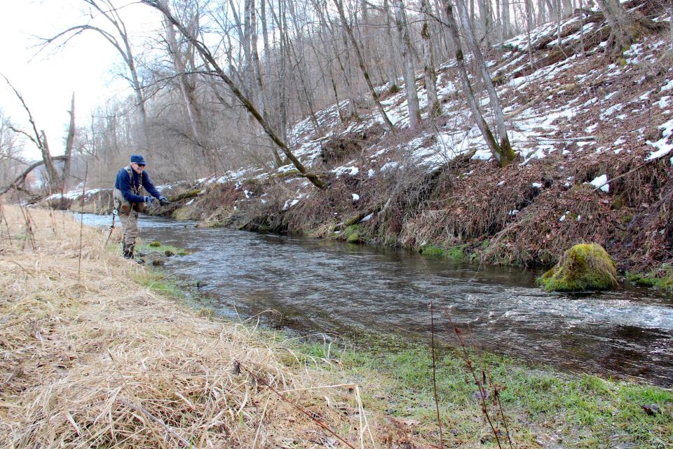 Duke Welter of Viroqua casts on a stream in Vernon County during a Feb. 6 outing in Wisconsin's early catch-and-release trout fishing season.