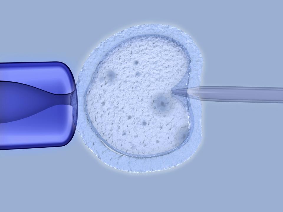 BMI cut offs for in vitro fertilization vary across Canada. (Image via Getty Images)