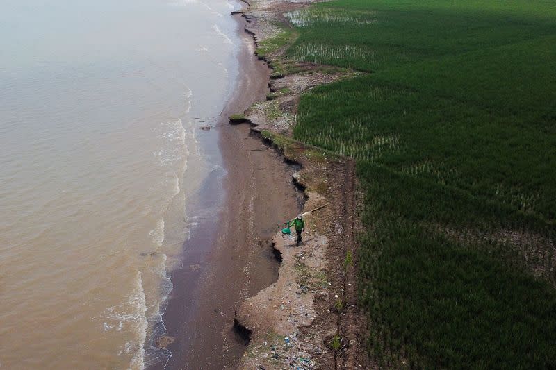 Environmentalist fights Indonesia's coastal erosion with fairy tales, puppet shows and mangrove saplings