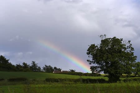 A rainbow is seen on a farm in Maghera, Northern Ireland June 28, 2016. REUTERS/Clodagh Kilcoyne