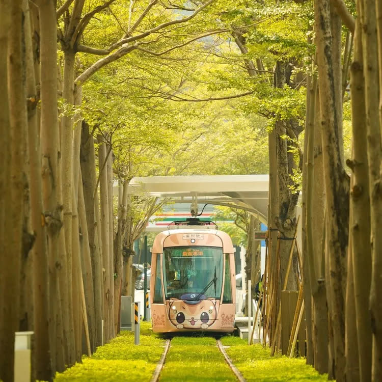 高雄捷運輕軌新路線「龍貓隧道」，引爆話題，吸引許多觀光客搭乘。資料照片