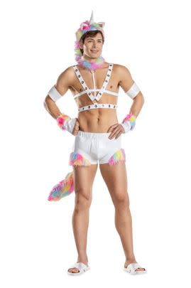 Sexy Unicorn Guy Costume