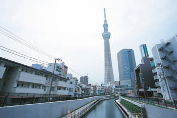 東京新姿