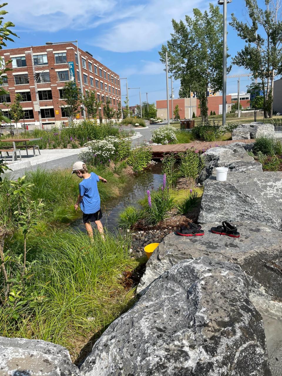 A creek forms in Dickie Moore Park when the splash pad is on and the water flows into a bed of rocks next to it.