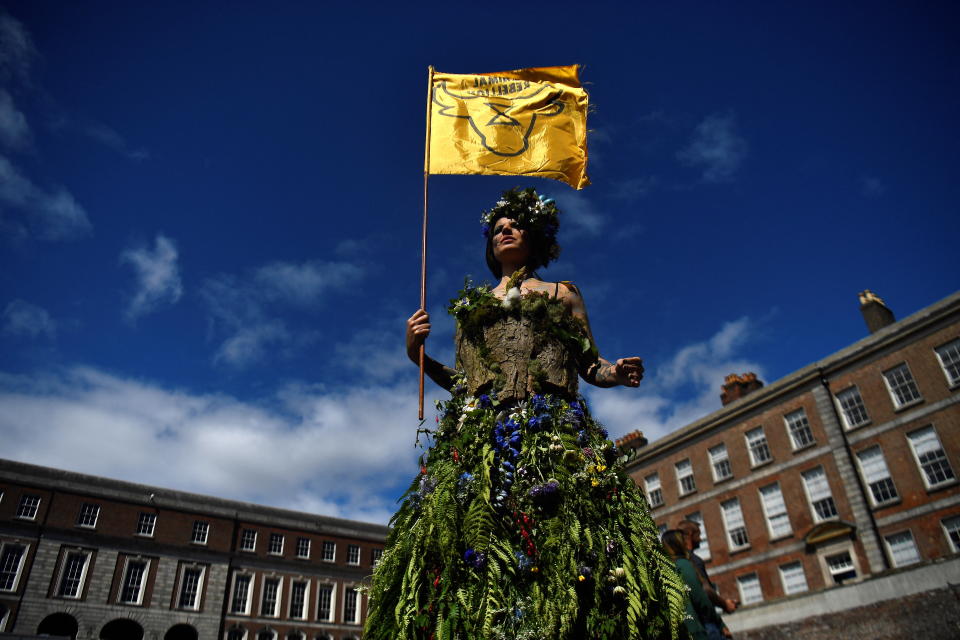 Eine Aktivistin demonstriert vor den Toren einer Konferenz &#xfc;ber Biodiversit&#xe4;t in Irland (Bild: REUTERS/Clodagh Kilcoyne)