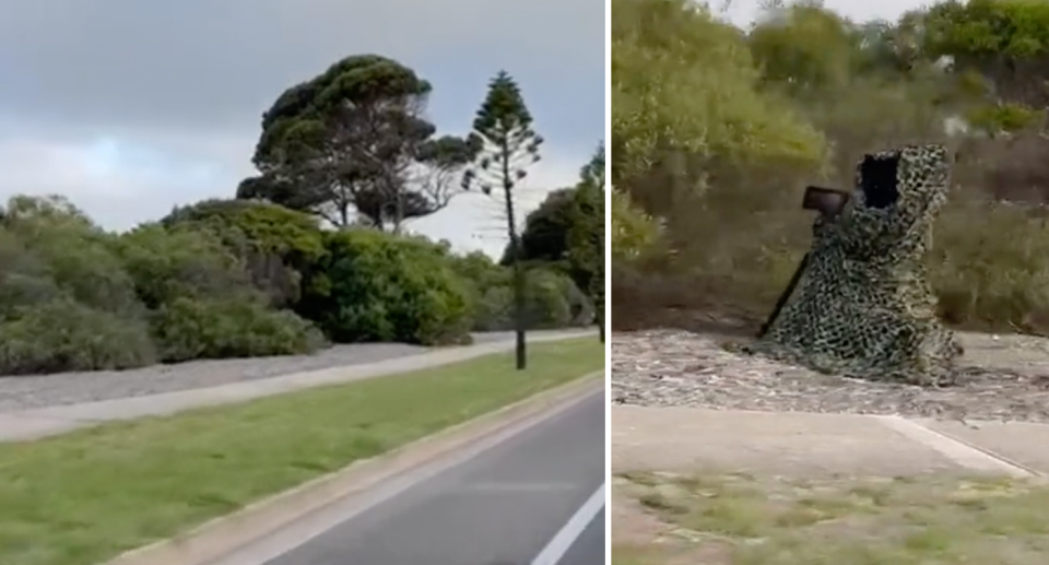 Left, the roadside has trees and shrubs with the hidden speed camera (right) barely visible. 